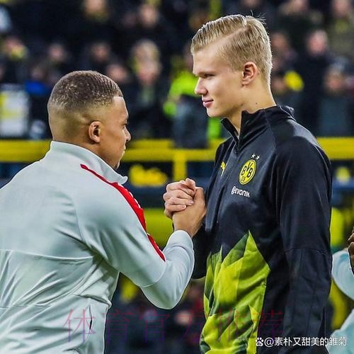 佩杜拉：哈兰德与皇马达协议 多特要价1.75亿欧